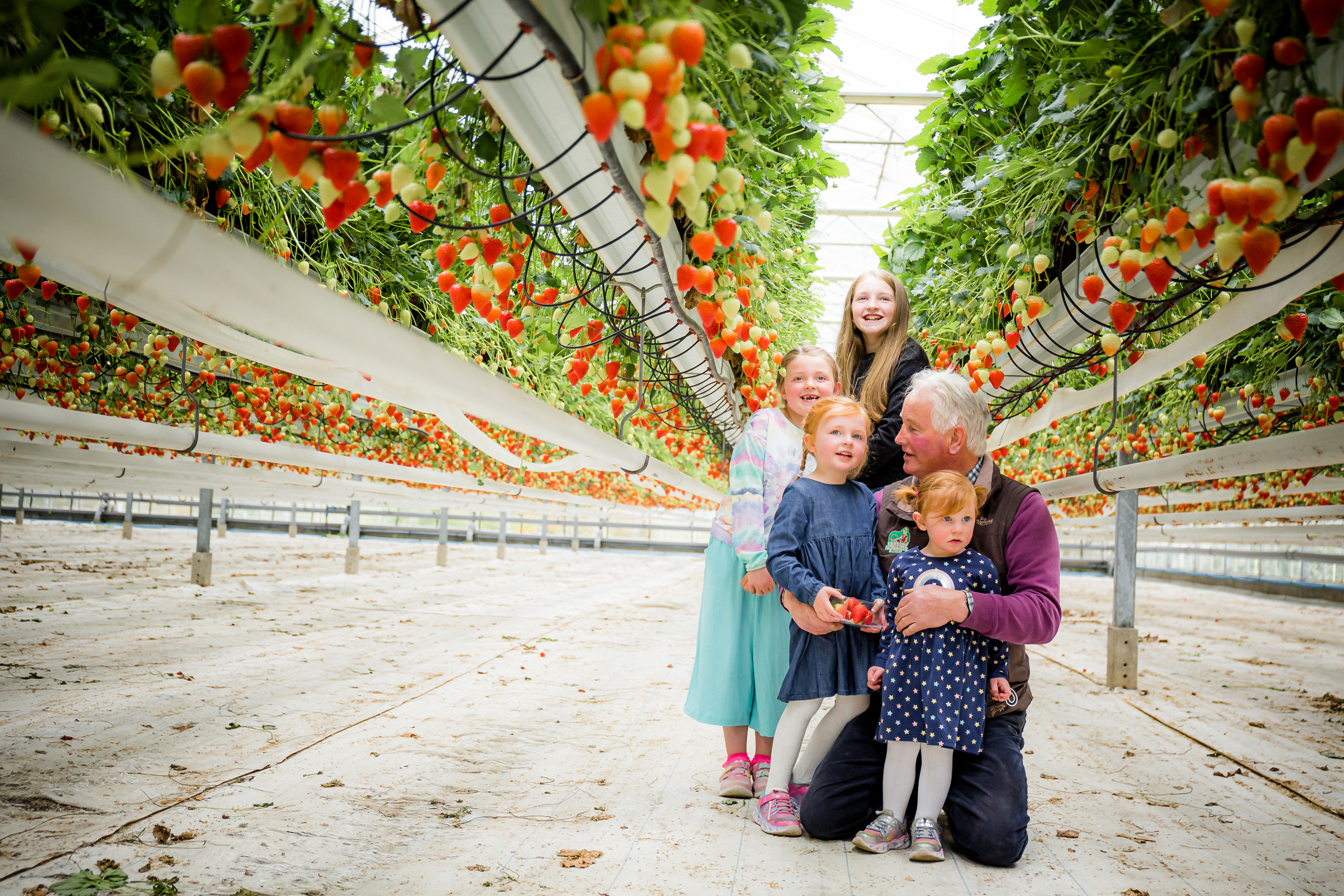 52 Kearns fruit holstphoto.com 2021