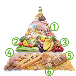 FoodPyramid dailyStaples