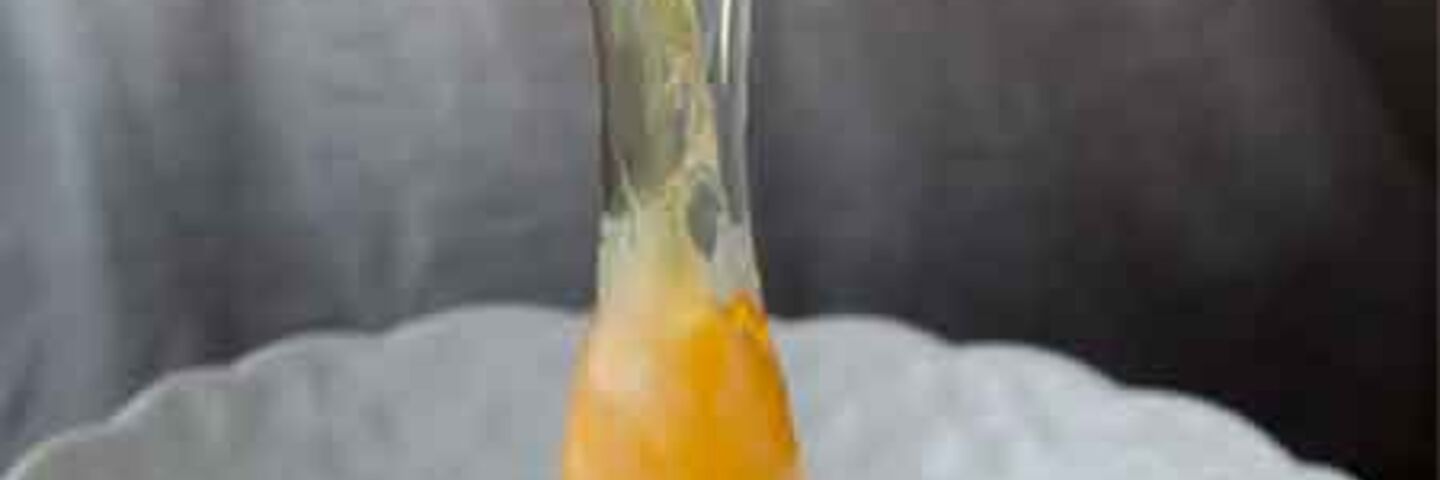 SalmonEggFeature
