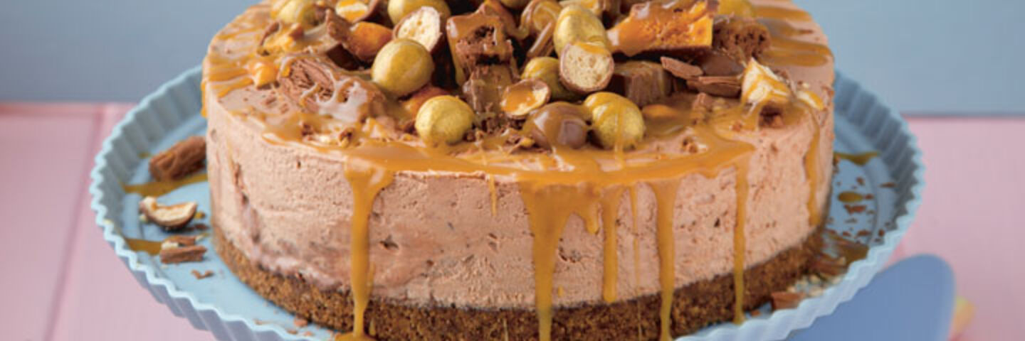 Chocolate Ice-Cream Cake