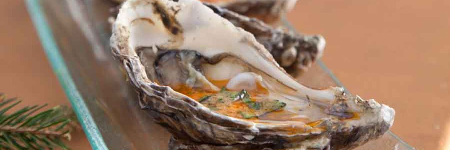 Oysters