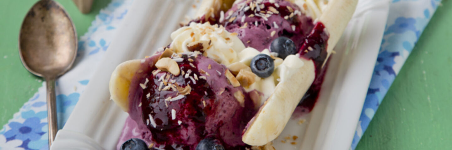Blueberry ice cream recipe