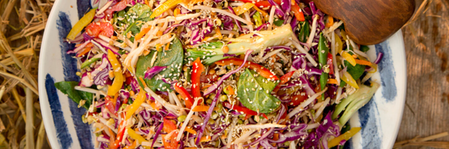 Hapy pear asian style autumn slaw
