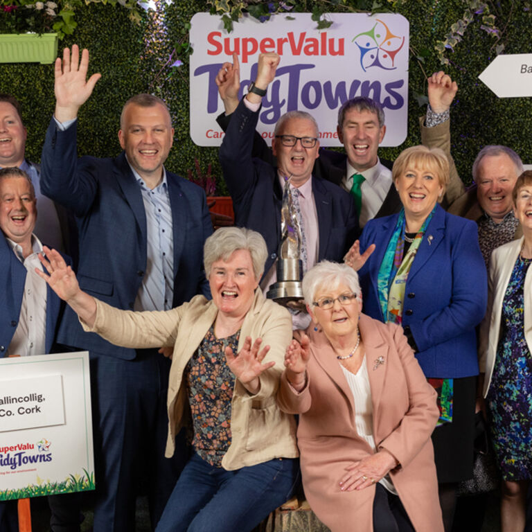 SuperValu Tidy Towns Winners