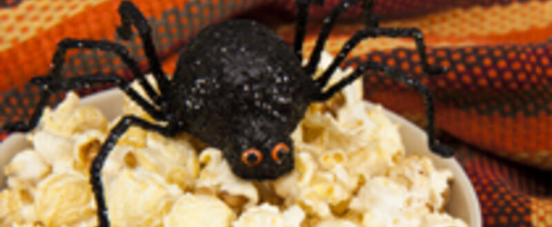 Spooky spider teaser