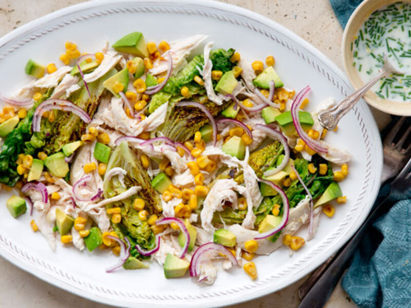 Shredded chicken salad recipe