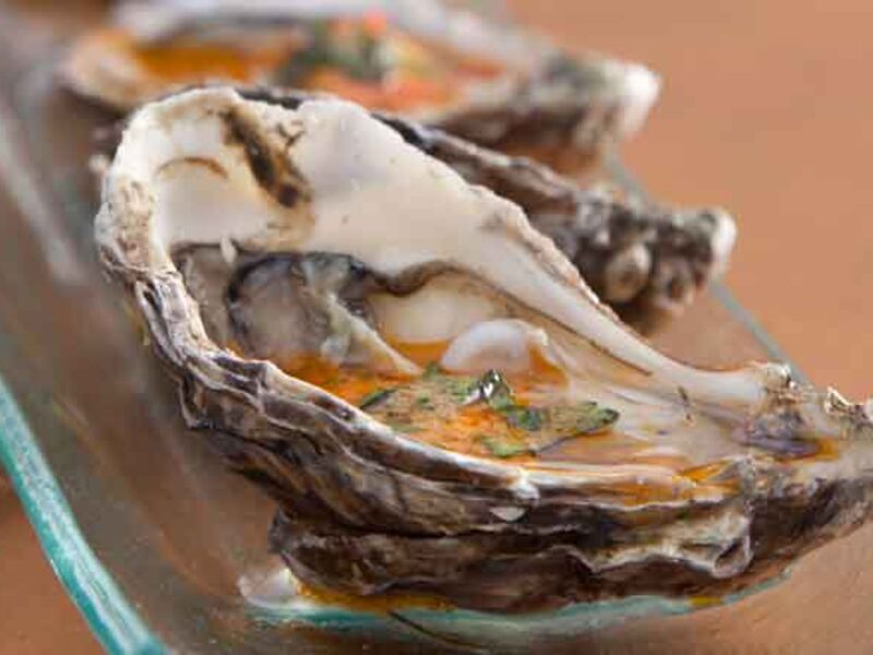 Oysters