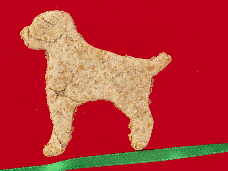 SuperValu Fresh 2019 Tasty Dog Treats