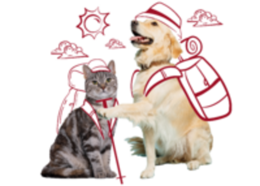 SuperValu Pet Insurance Multi Pet Image
